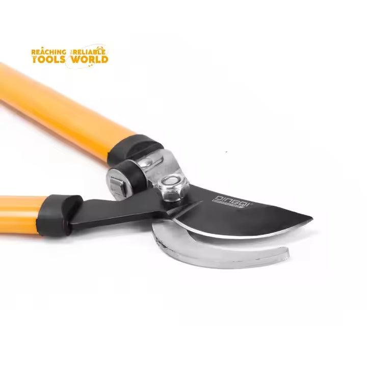 Cisailles de Jardin Dingqi 8" (200mm)