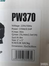Pompe à eau de surface PW370 – 550W