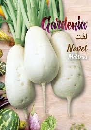 Graines de navet blanc