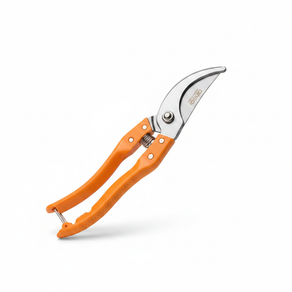 DINGQI Garden Shears - White Background