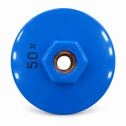 Dos bleu du disque