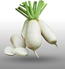 Graines de navet blanc