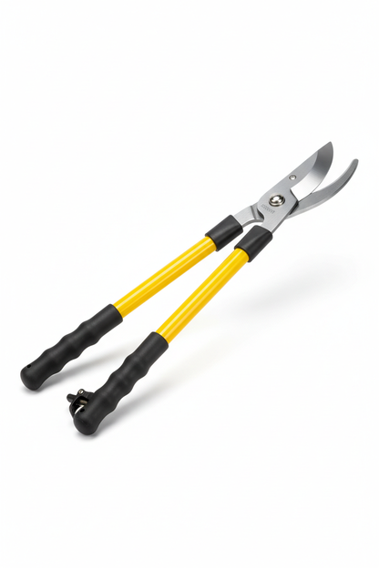 Coupe-Branche Professionnel DANI Quality – Manche Long Fibre de Verre