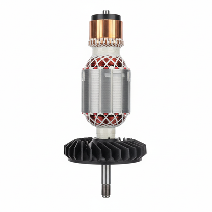 Induit rotor fond blanc - vue principale