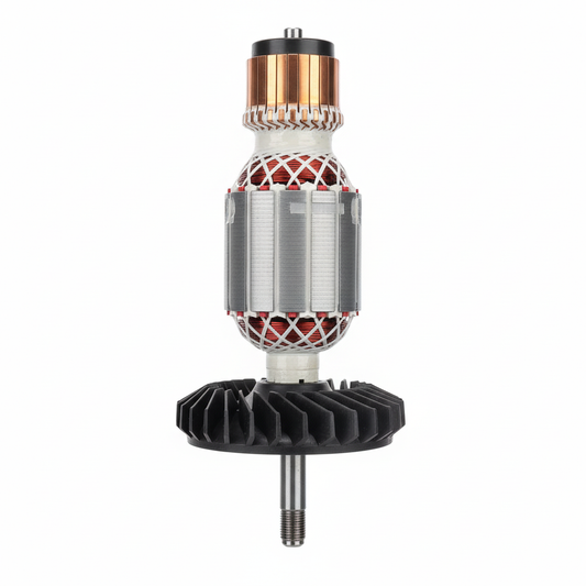 Induit rotor fond blanc - vue principale
