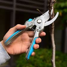 Cisailles de Jardin Professionnelles 8" (20 cm)