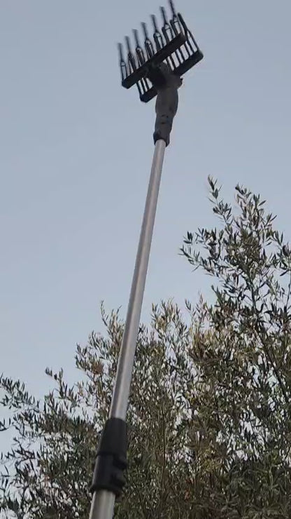 Peigne vibreur électrique pour récolte d’olives